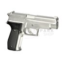 P226 Silver Spring Gun