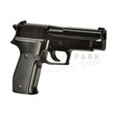 P226 Spring Gun
